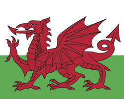 Wales flag image 