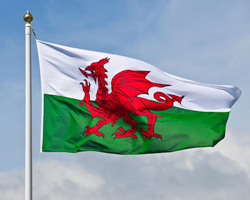 Welsh flag 