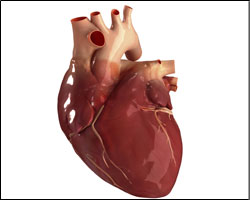 Umbraco.Web.PublishedCache.XmlPublishedCache.XmlPublishedProperty